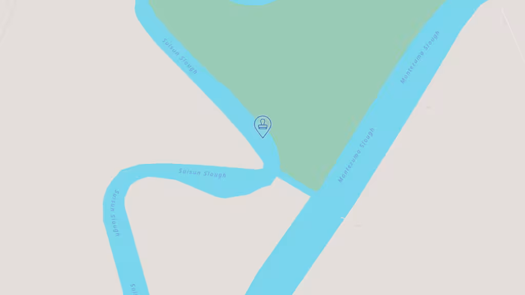 Solano Mobile Notary photo