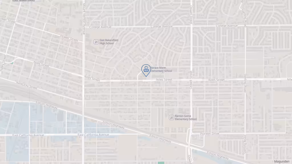 Gabriela's insurance and registration services photo