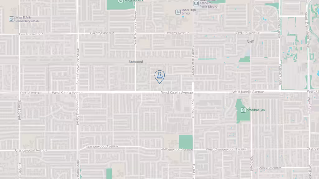 Immigration Plus photo