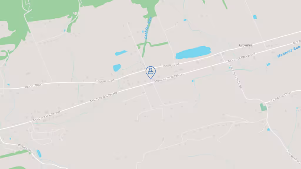 D and L notary photo