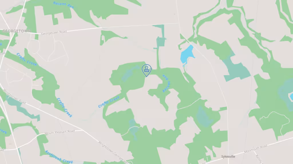 Sign seal smile photo