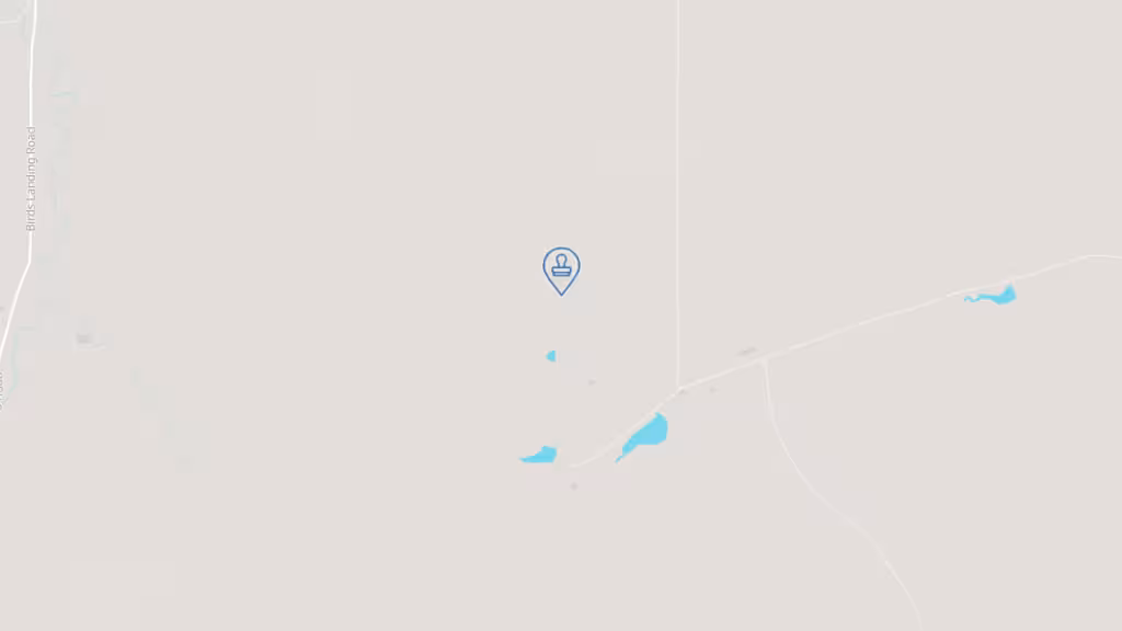 The Notary Company photo