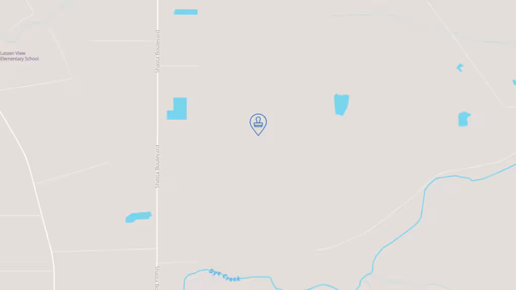 ASAP Notary etc photo