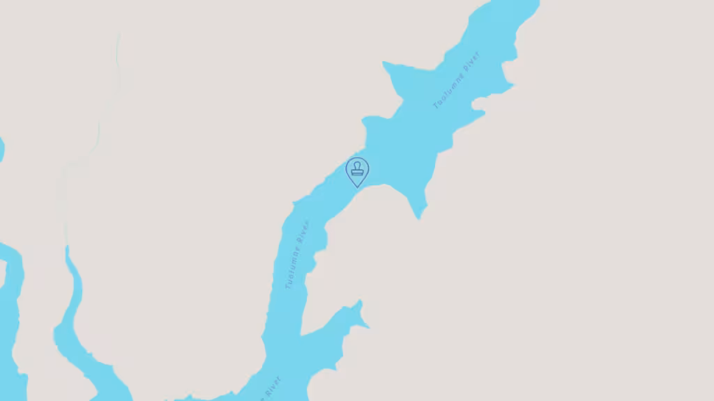 The Traveling Fox Notary photo