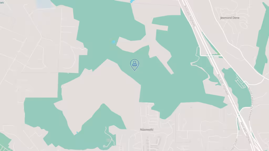 NEAR Notary Services photo