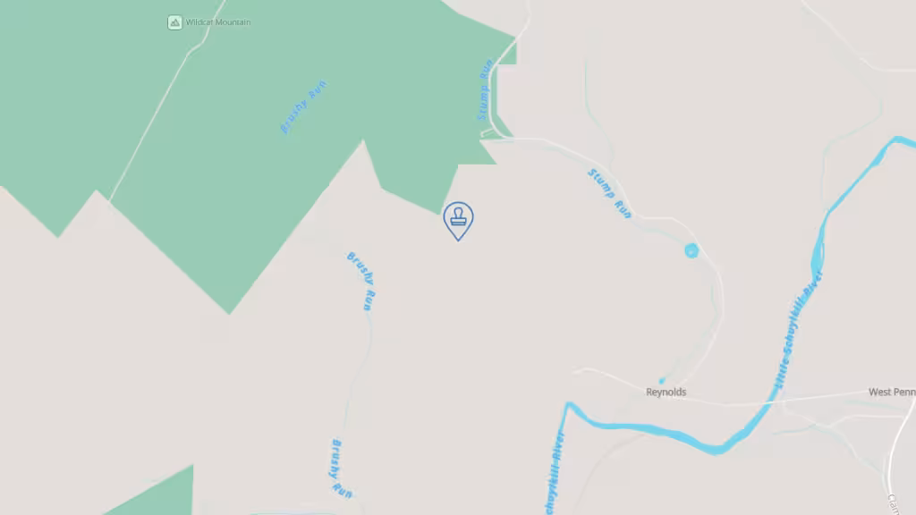 Evans Mobile Notary photo