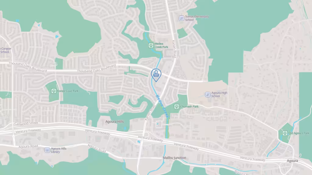 Elaine Chalfin Notary photo