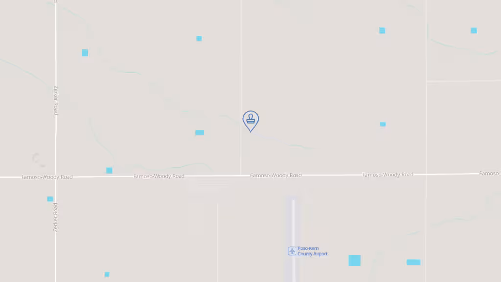 Alejandra Zambrano Mobile Notary photo