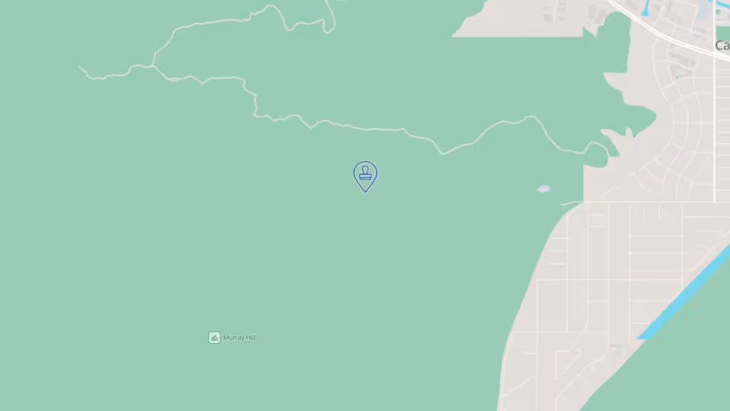 Marys Desert Notary photo