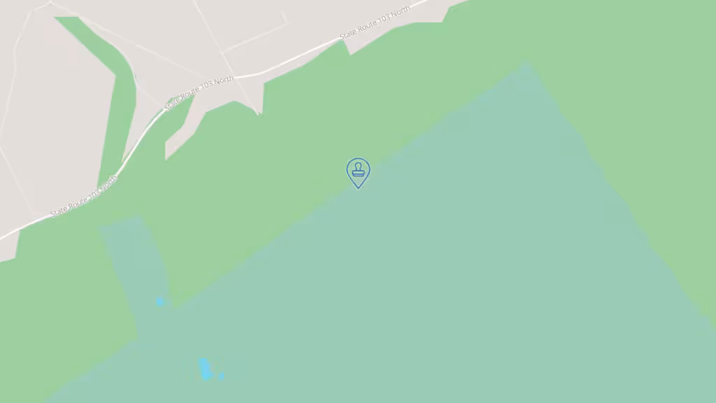 Alpine Mobile Notary Public, Apostille Service & Process Server photo