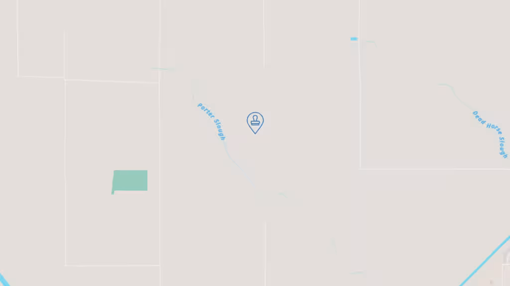 Debbie's Mobile Notary photo