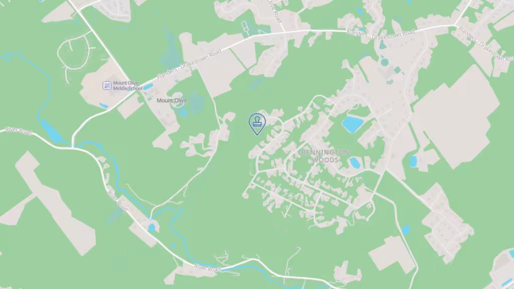 Tasha’s Lux Notary photo