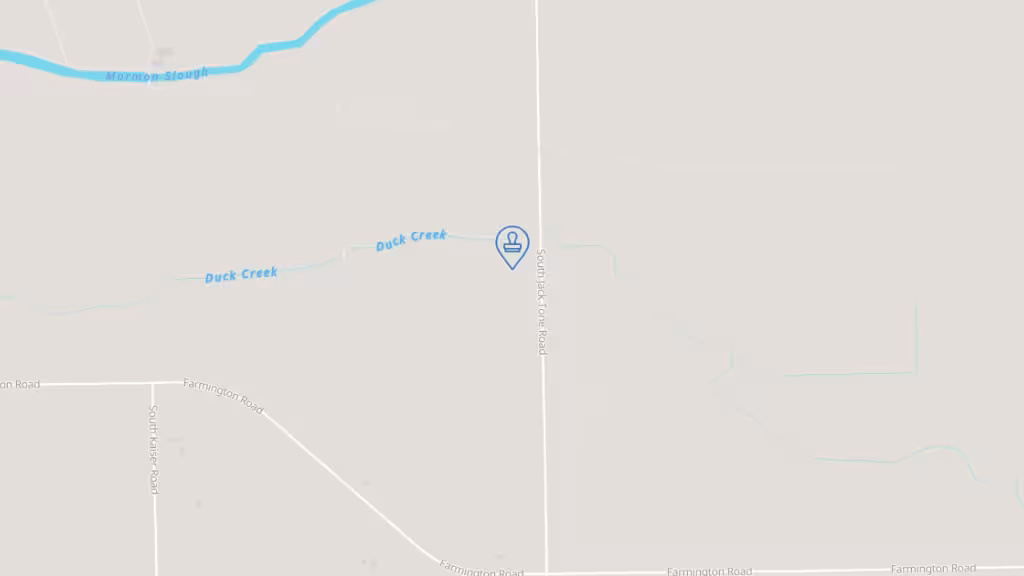 Alpha Enterprise Notary photo