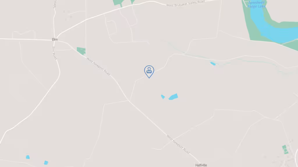 Notary "I Go"! photo