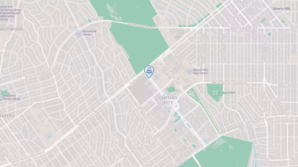 Mobile American Apostilles photo