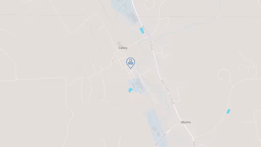 Rev Management Inc photo