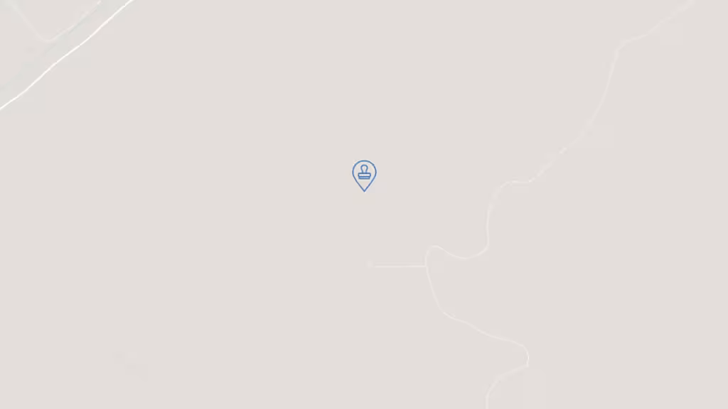 DD Mobile Notary photo