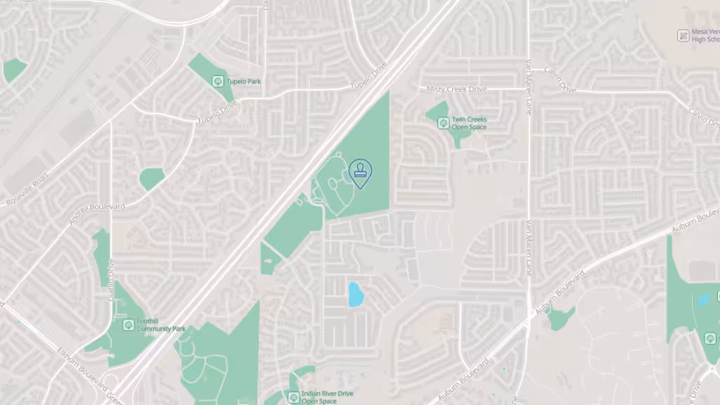 Tirrah Thorp, Notary Public photo