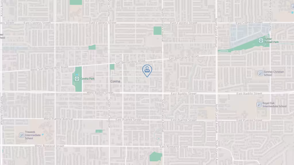 Notary Biz by Tracey photo