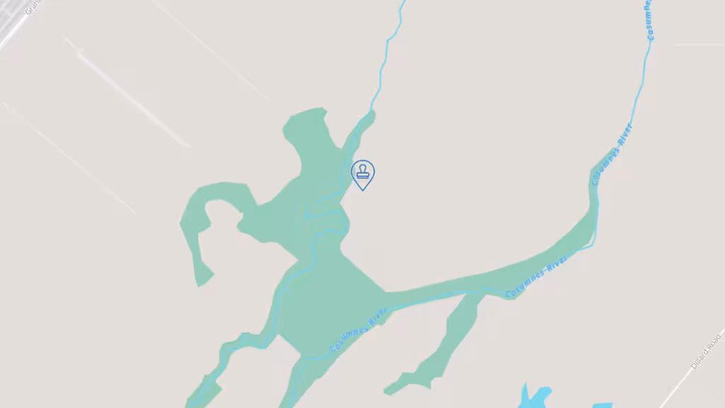 Notary Express Services photo