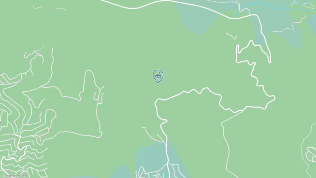 A.f Mobile Notary Services photo