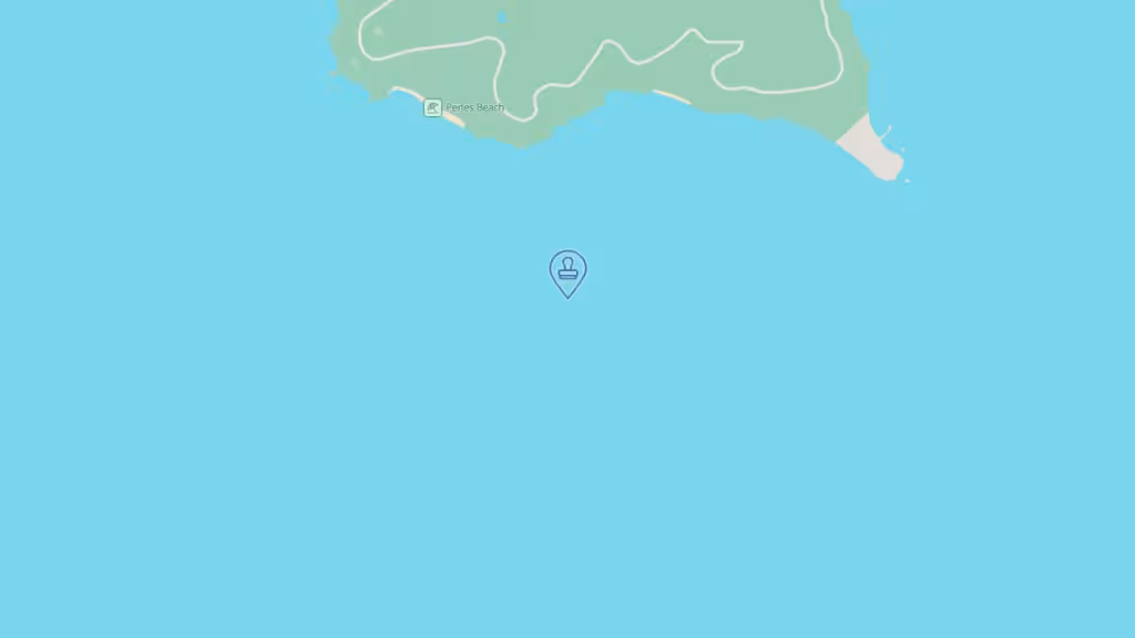 T.E.A. Mobile Notary photo