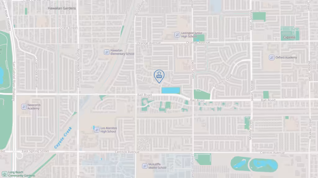 Mail Plus More photo