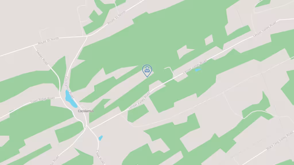 The Notary Specialist photo