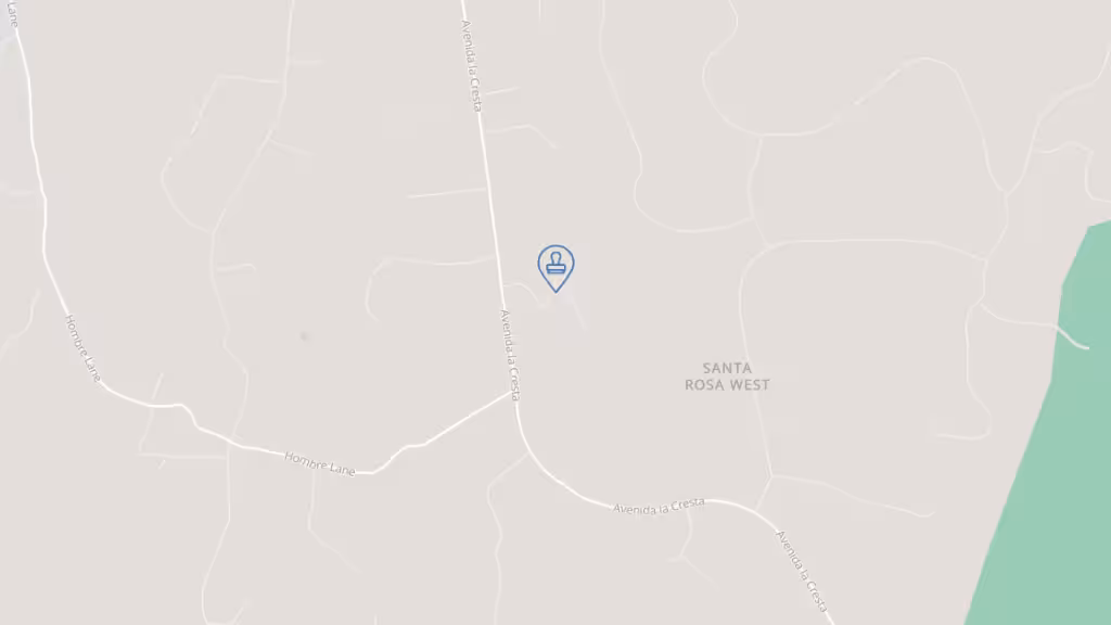 Salvaje Management Solutions photo