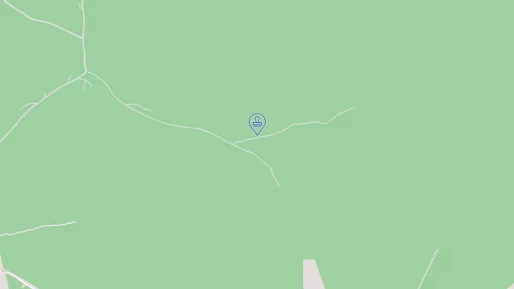 Capital Notary Services photo