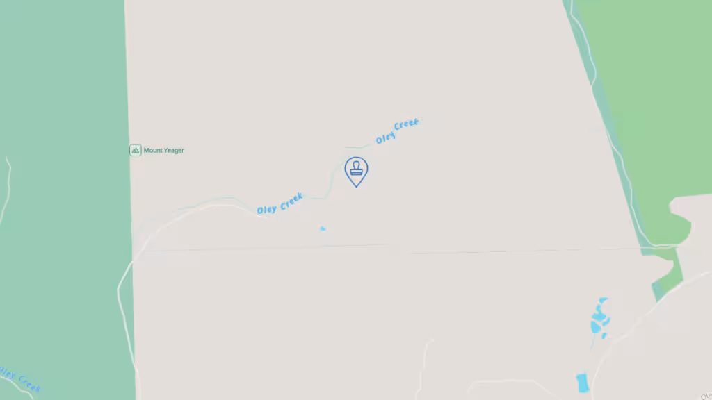 Palumbo Notary Services LLC photo