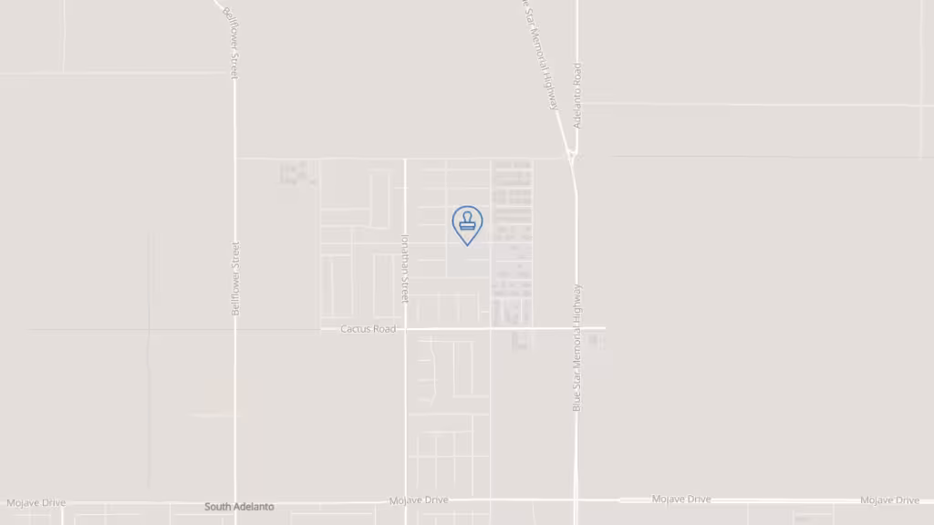 The Document Diva photo