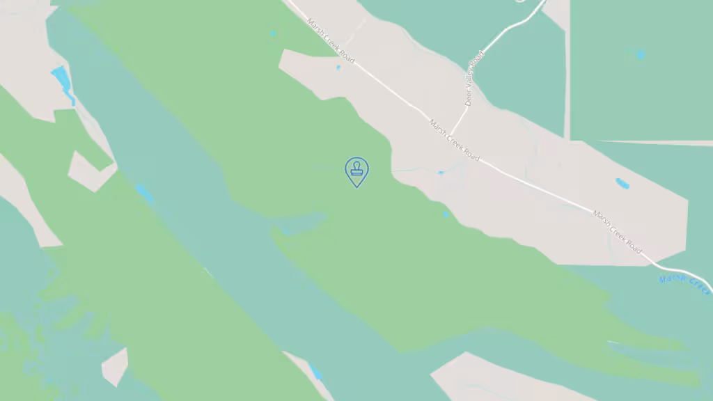 Mobile Notary Express photo