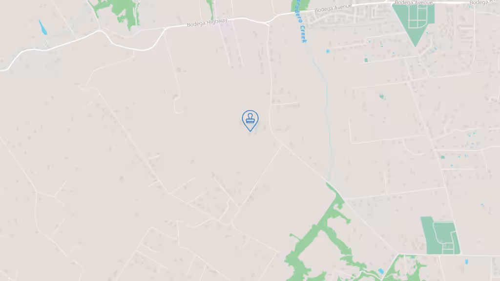 Melissa Tarzia Mobile Notary photo