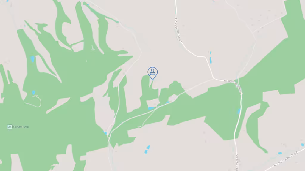 Tara's Mobile Notary Services photo