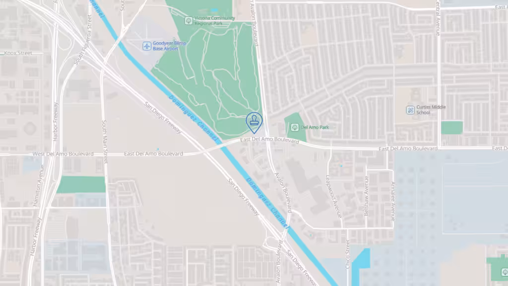 everyone live scan & notary photo