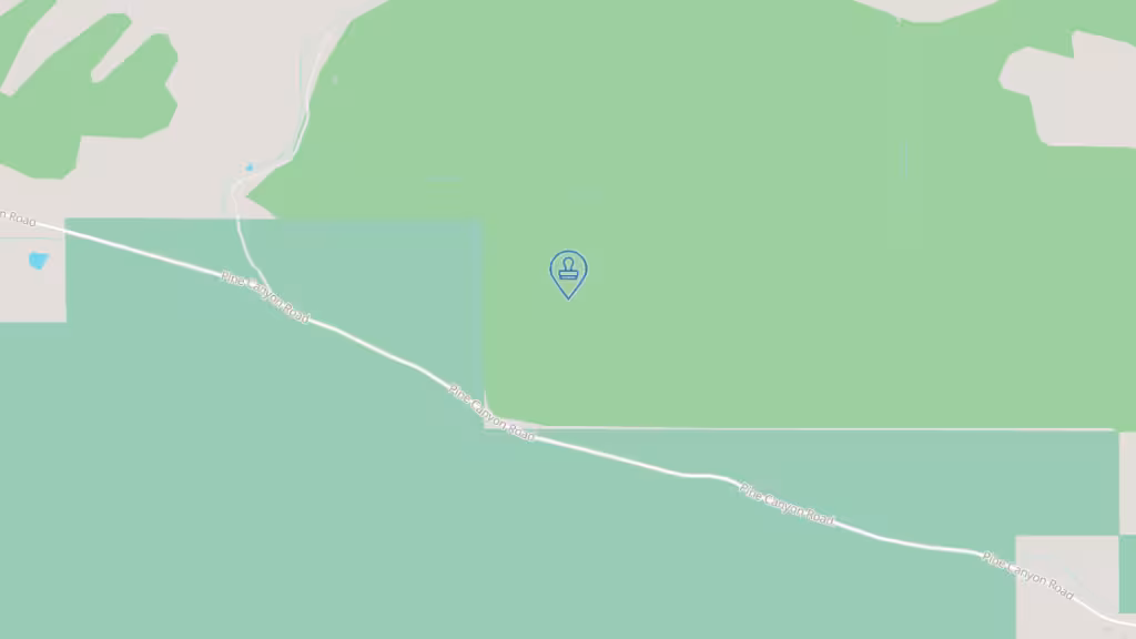 Yvonne's Mobile Notary photo