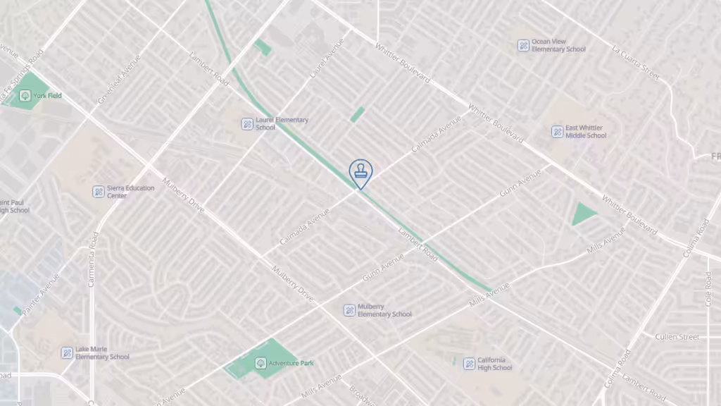 CCM Auto Registration and Services photo