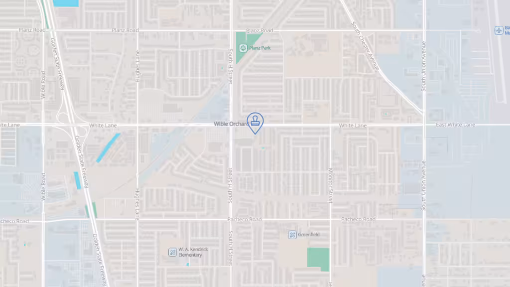 The Notary Bee photo