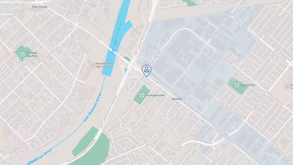 Rapid Income Tax and Auto Registration Services photo