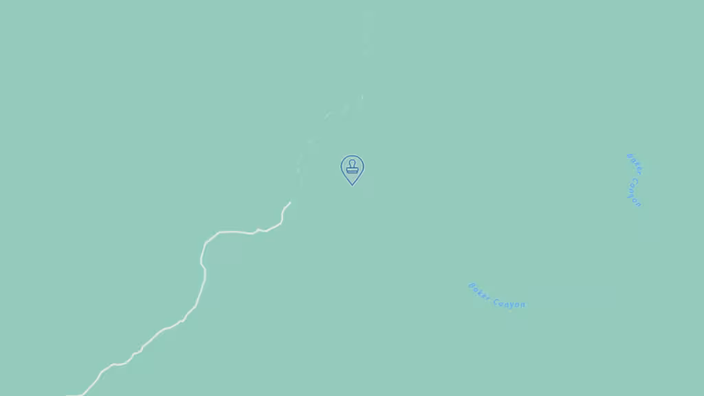 Miranda's Mobile Notary photo