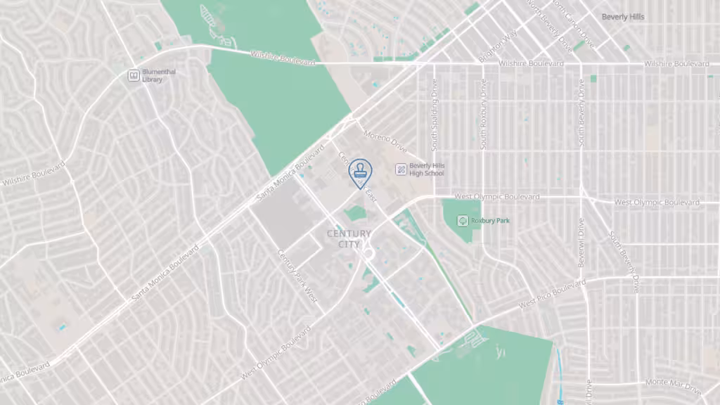 Same Day Apostille LA photo