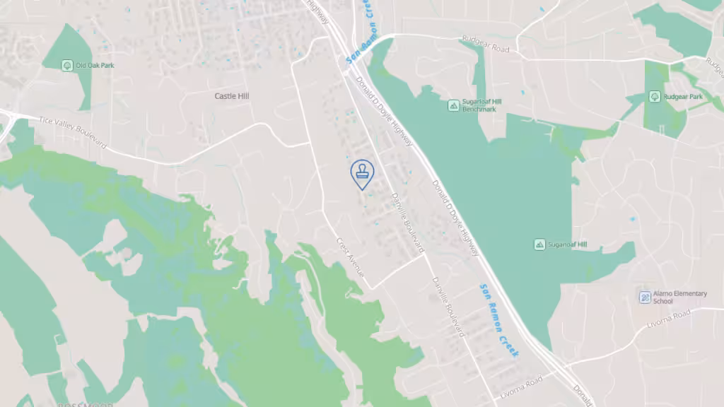 Notarize This Lisa! photo