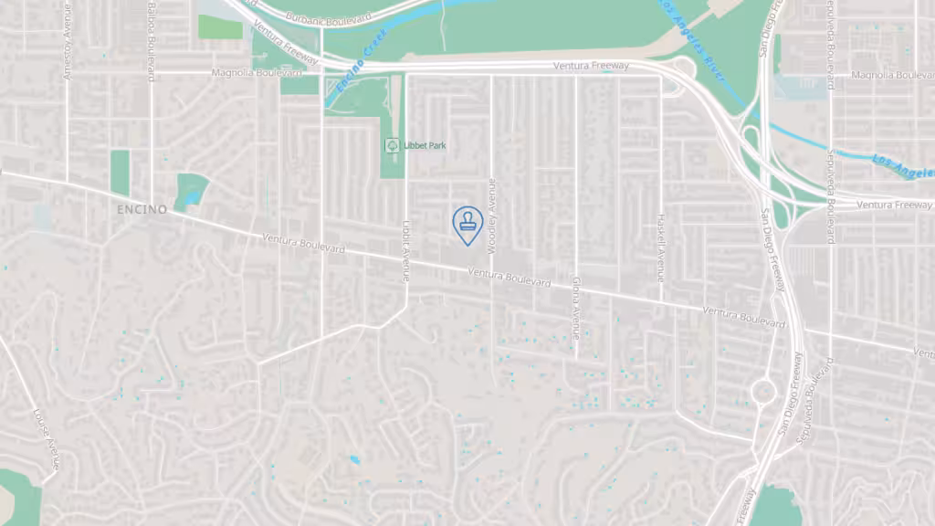 Fast and Furious Notary photo