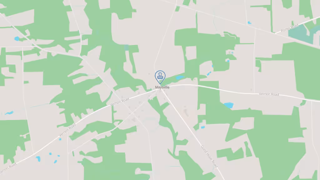 Victory Lane Automotive photo