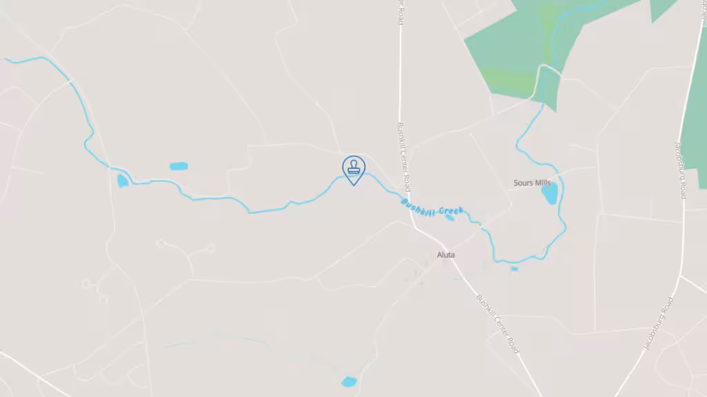 Carisa's Notary Services photo