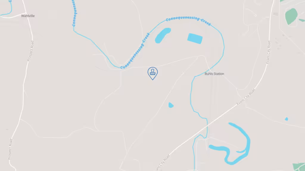 Natalie Shaffer, Notary Public photo