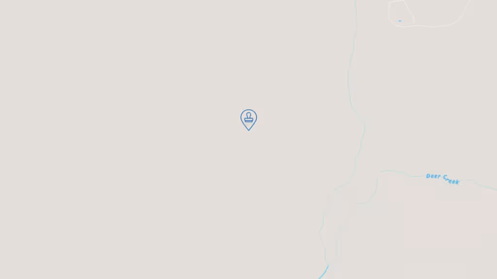 Elite Signature & Stamp Notary and Apostille Services photo