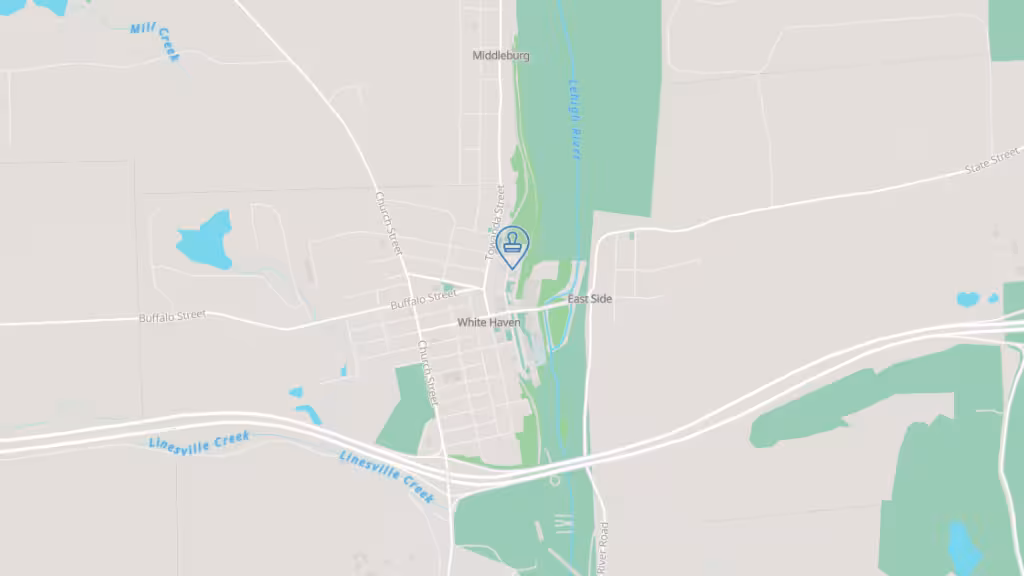 Elite Tag & Notary Service photo