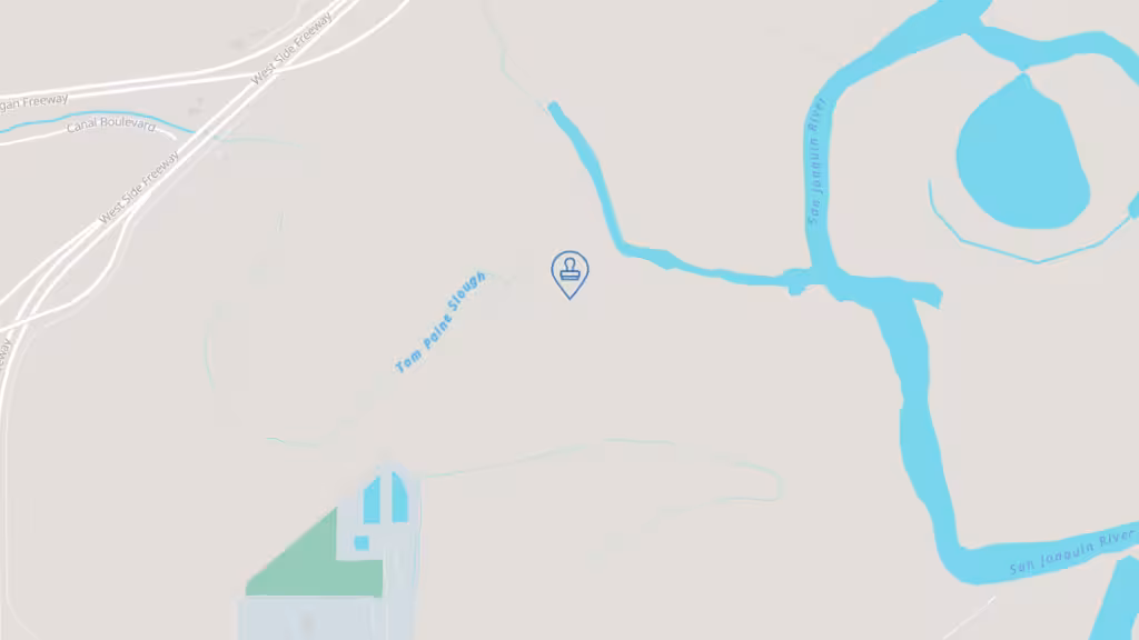 Virginia Gallardo, Mobile Notary Public photo